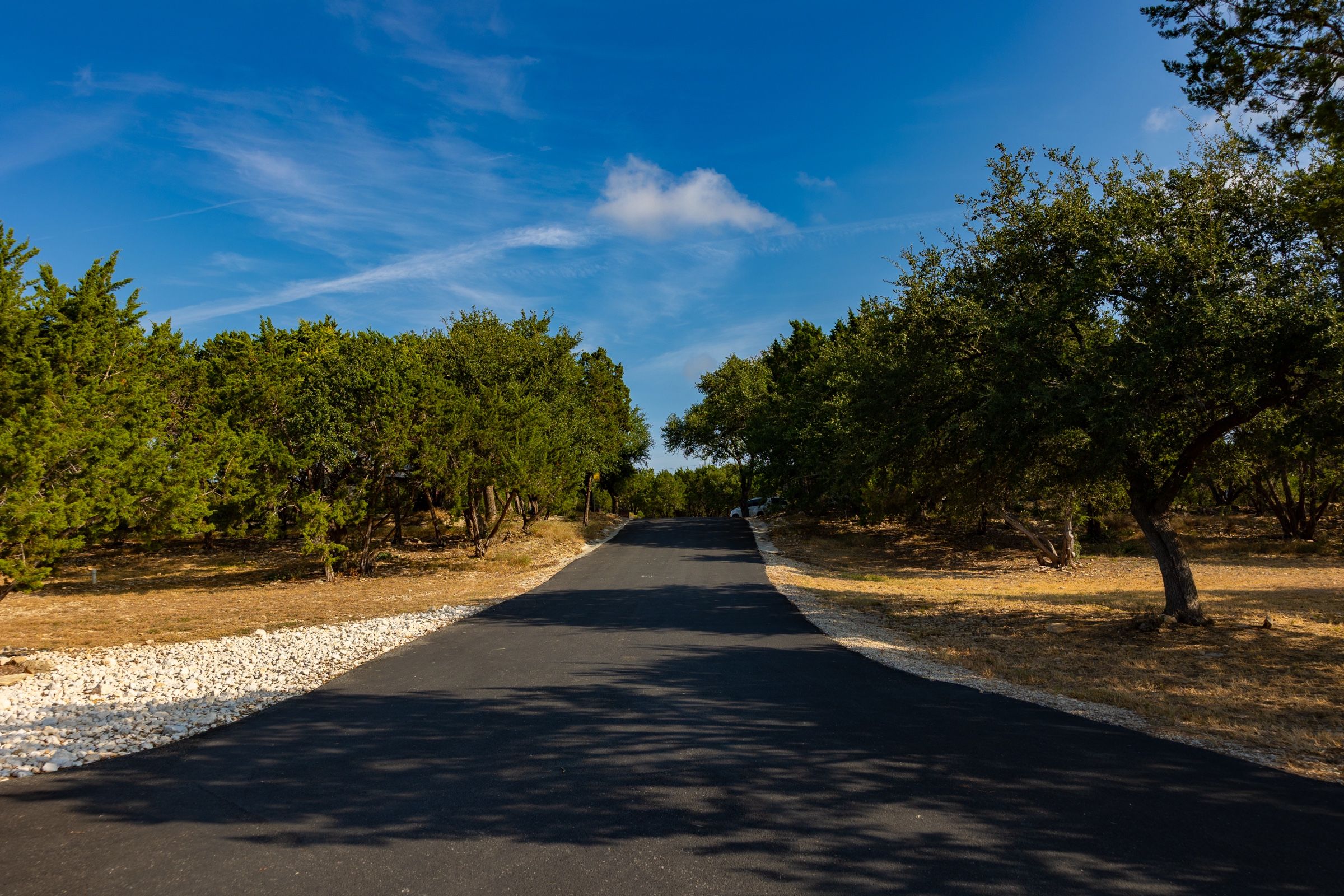 Paved drive leading into the oaks