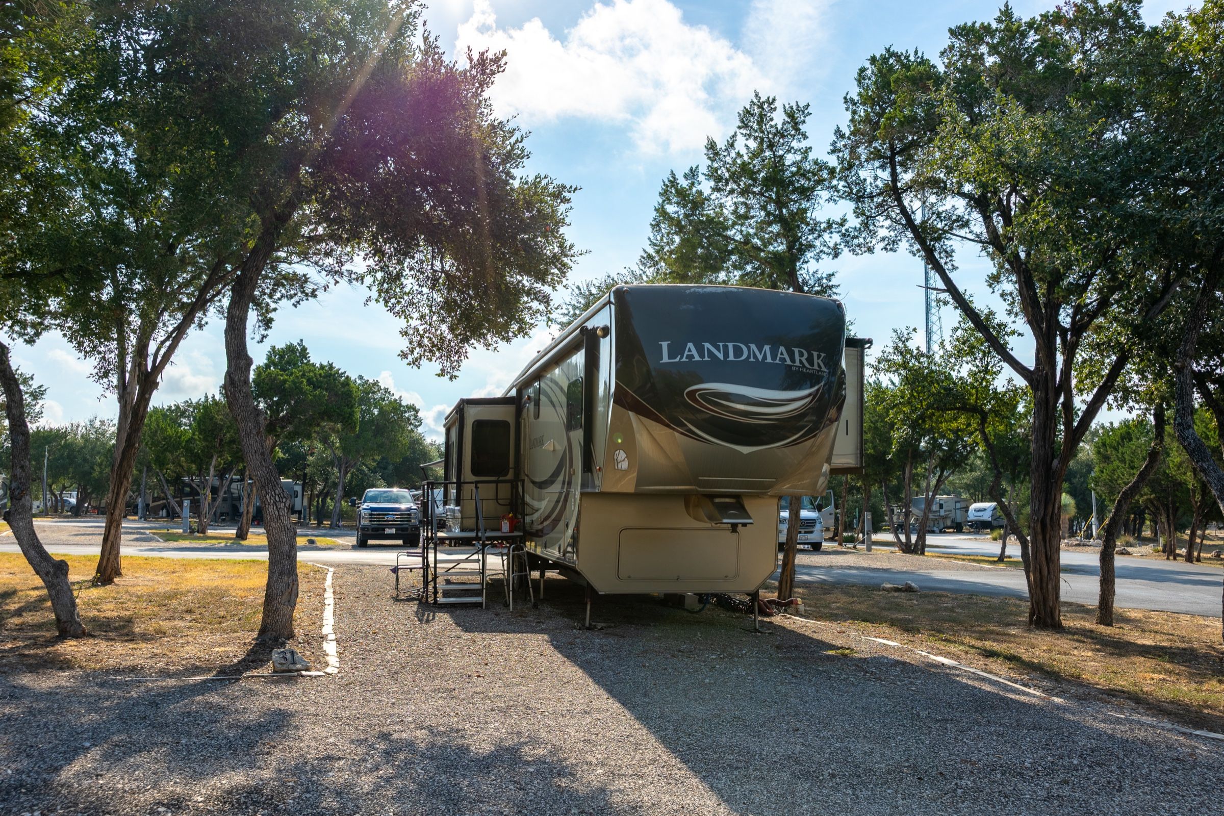 RV site beside a stand of old live oaks