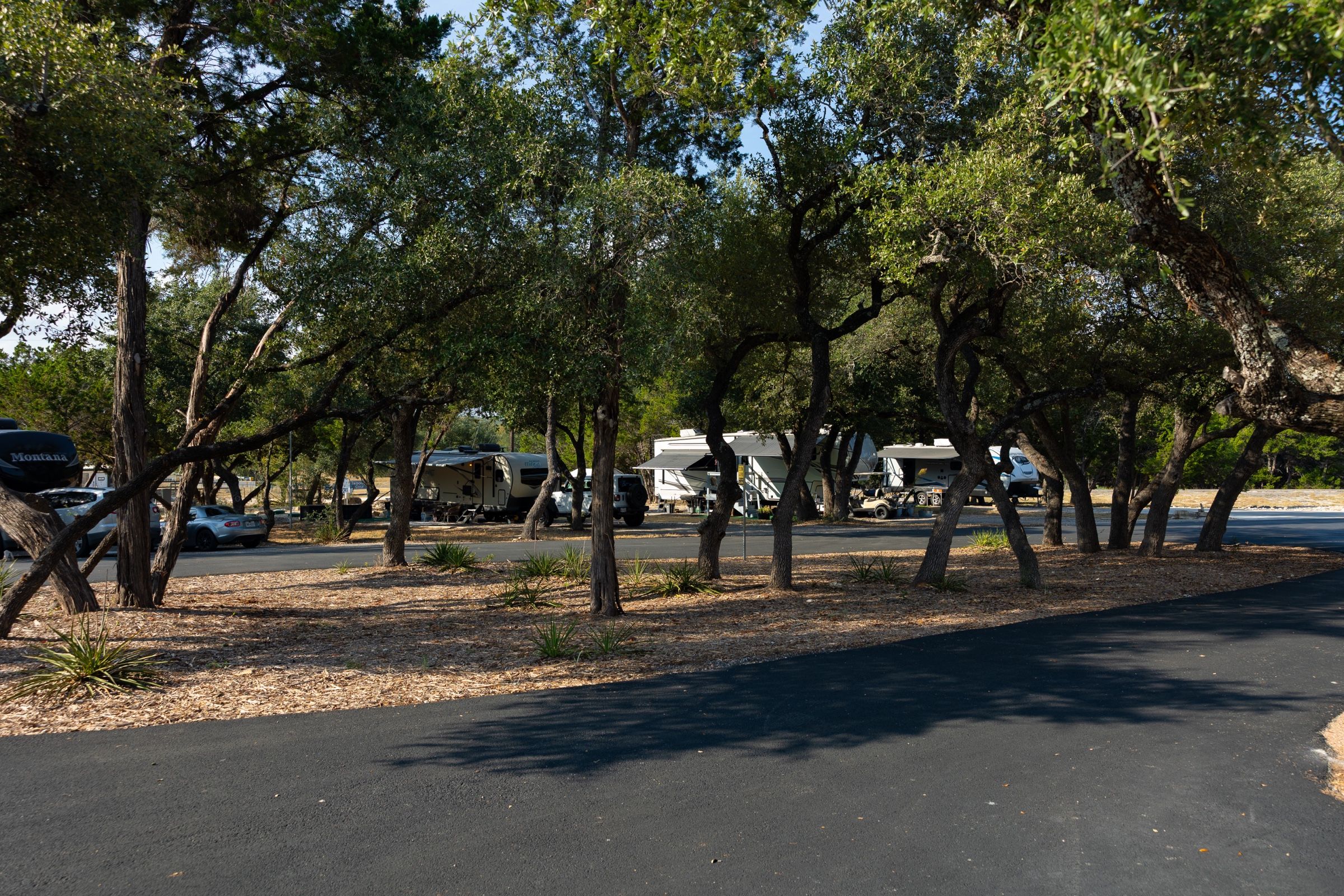 A row of RV sites along an oak-lined drive