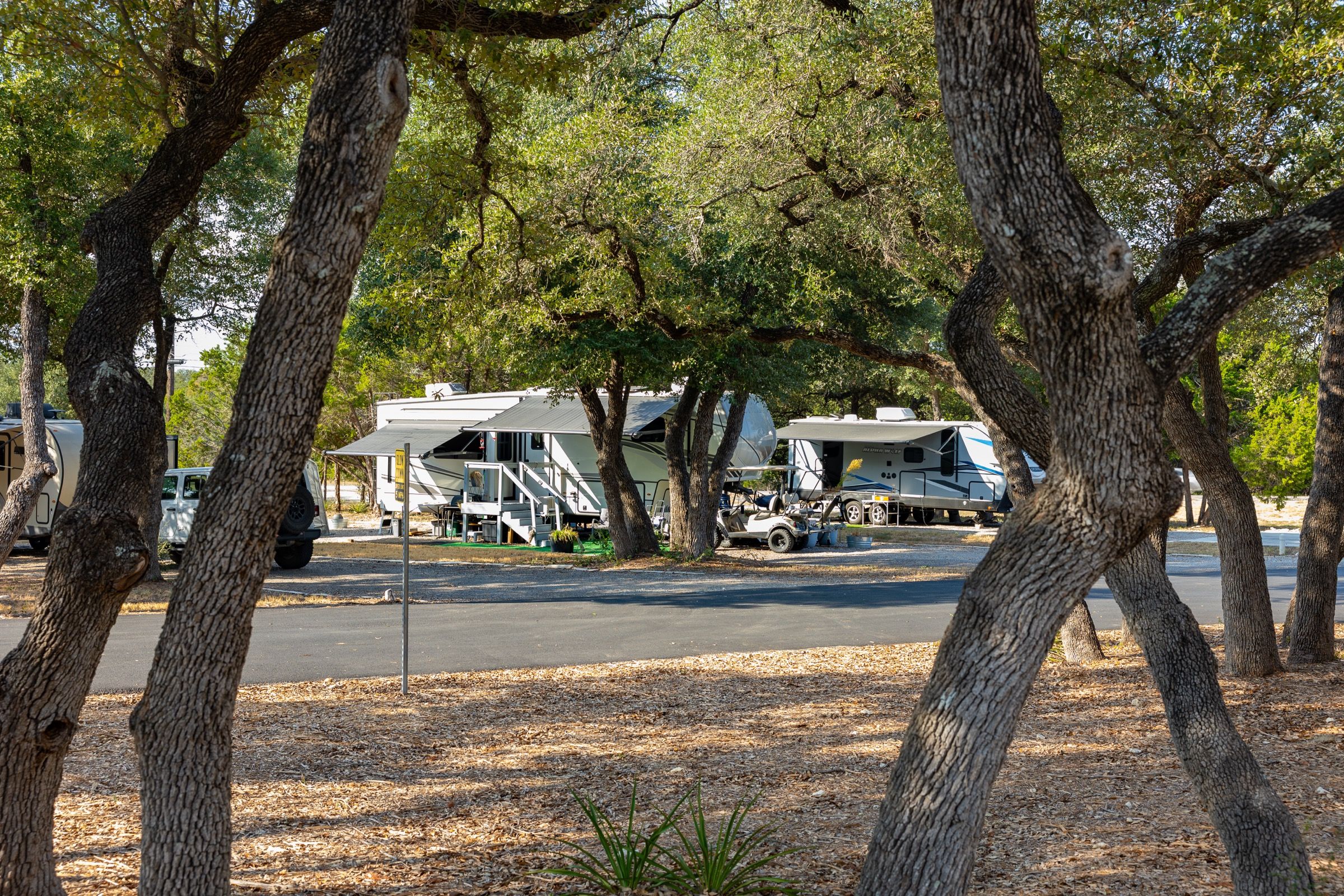 Fifth-wheels and a golf cart parked under the live oaks
